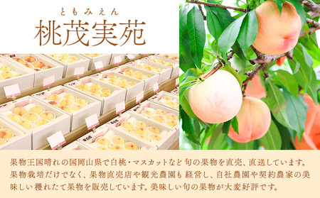 白桃 約1.5kg 桃茂実苑【配送不可地域あり】