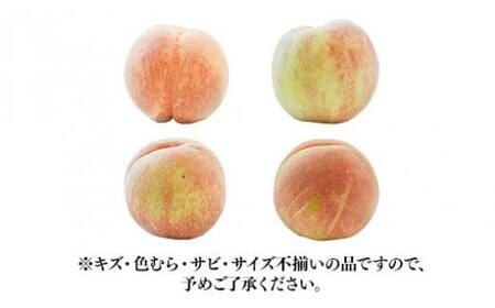 ≪2026年先行予約≫【仲野観光果樹園】ご家庭用 山形県産 おまかせ 白桃 黄桃 2種詰合せ 3kg(6～12玉) 2026年8月上旬から順次発送 F2Y-6125