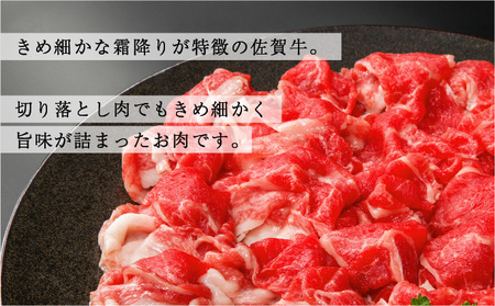 佐賀牛たっぷり切り落とし 1kg (500g×2パック)