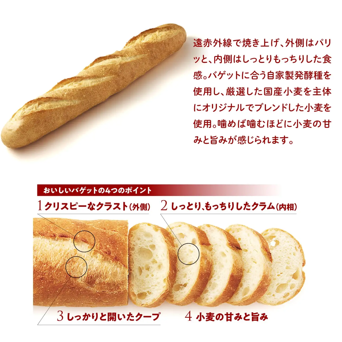 K2528 テーブルマークの石窯バゲット 240g×12本(1本×12袋)