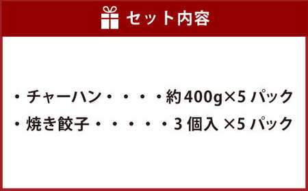 東京食堂のチャーハンと焼き餃子（各5パック）合計10パック 2種 セット 冷凍 餃子 ぎょうざ ギョウザ 炒飯