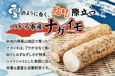 訳あり ながいも 約4kg (洗い)｜長芋 [0943]