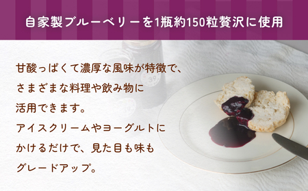 ブルーベリーピューレ 150g×2個 富山県 氷見市 ブルーベリー ソース フルーツ