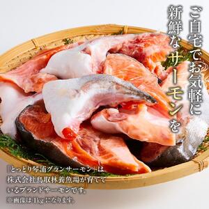 【先行予約 2026年1月中旬以降発送】【数量限定】訳あり 国産 とっとり 琴浦 グラン サーモン カマトロ 3kg（1kg×3パック）サーモン