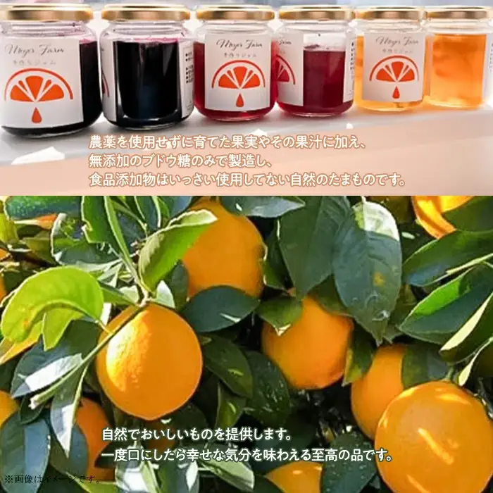 無添加 手作りジャム 6個 食べ比べ (いちご ブルーベリー マイヤーレモン 各2個入り）