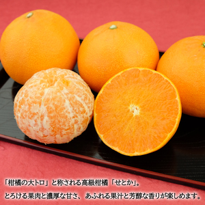 【せとか】 【2027年2月中旬頃から順次発送】 せとか 1.5kg（M～3L）｜ 【SSK015】