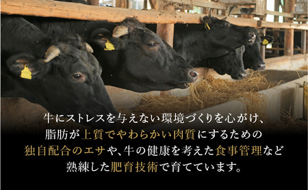 佐賀牛ステーキ食べ比べ
