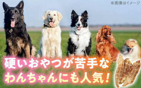 わんこのおやつ（犬）無添加手づくり 鶏むねジャーキー5袋 糸島市 / mogmog factory [AXO001] 10000円 1万円 1万円以下 ペット おやつ