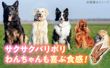 わんこのおやつ（犬）無添加手づくり 手羽先の先ジャーキー5袋 糸島市 / mogmog factory [AXO002] 10000円 1万円 1万円以下 ペット おやつ
