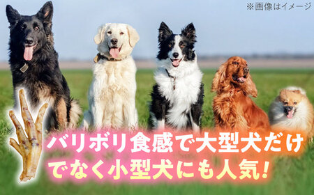 わんこのおやつ（犬）無添加手づくり 鶏のお手手（モミジ）ジャーキー5袋 糸島市 / mogmog factory [AXO003] 8000円 1万円以下 ペット おやつ
