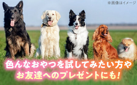 わんこのおやつ（犬）無添加手づくり 4種詰め合わせセット 糸島市 / mogmog factory [AXO005] 8000円 1万円以下 ペット おやつ