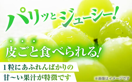 【先行予約】【3回定期便】 訳あり シャインマスカット 切り落とし 約1kg  【合同会社 社方園】[ZBZ047]