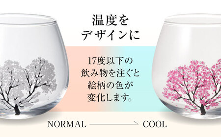 温度で変化する器 ゆらゆらグラス 『冷感桜』 多治見市 / 丸モ高木陶器[TBA240]