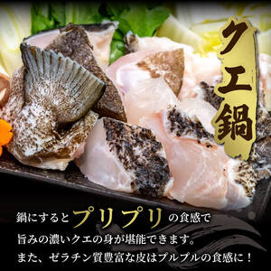 クエ 鍋用 650g ( 切り身 300g アラ350g ) クエ鍋セット 南予ビージョイ D019-150013
