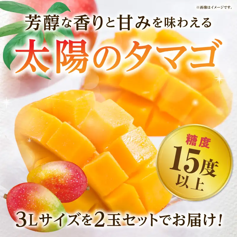 太陽のタマゴ マンゴー 太陽のタマゴ[宮崎 3L 2玉 糖度15度以上]
