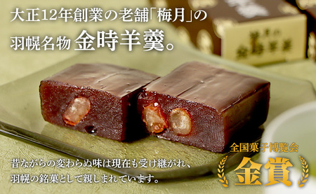 羽幌名物 ミニ金時羊羹5本入【11110】