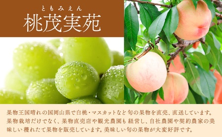 白桃 約900g シャインマスカット 1房 詰合せ 桃茂實苑【配送不可地域あり】