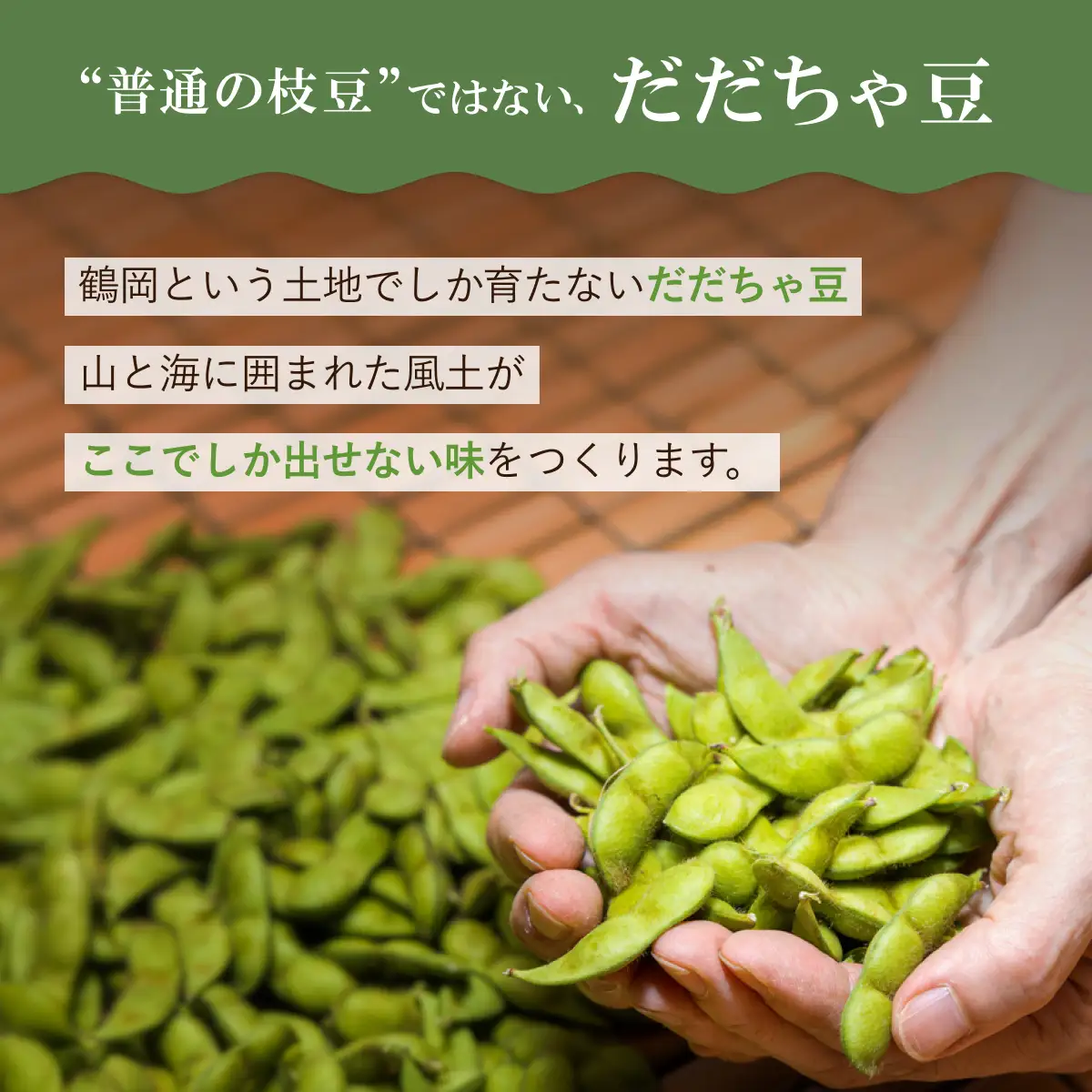 【冷凍だだちゃ豆】鶴岡産 さや付き 80g×6袋｜ 食べきり小分け・レンジで簡単な冷凍枝豆（おつまみ・おやつ）だだちゃ喜左衛門株式会社