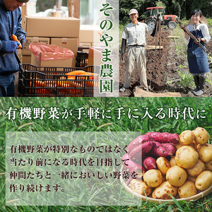 湧水町産有機にんじん5kg (訳あり) にんじん_y503