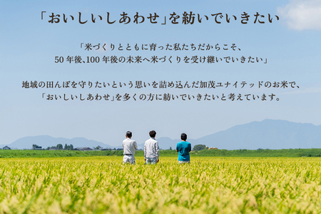 【令和8年産新米先行予約】【定期便3ヶ月毎月お届け】加茂市産 特別栽培米 コシヒカリ 精米10kg 《10月上旬～順次出荷》《順次出荷》 栽培期間中は化学肥料・農薬不使用 新潟米 お米 白米 こしひかり 加茂ユナイテッド 