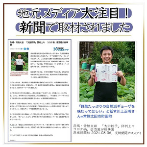 【にんにく不使用】無添加 野菜たっぷり なごみ家 冷凍 52個 | 茨城県 常陸太田市 美味しい 野菜 楽しみ 一品 おかず 夕食 こども 大人 新鮮 たっぷり ニンニク 有り なし 包装 のし掛け餃子 ぎょうざ 生餃子 冷凍 ギフト 贈り物