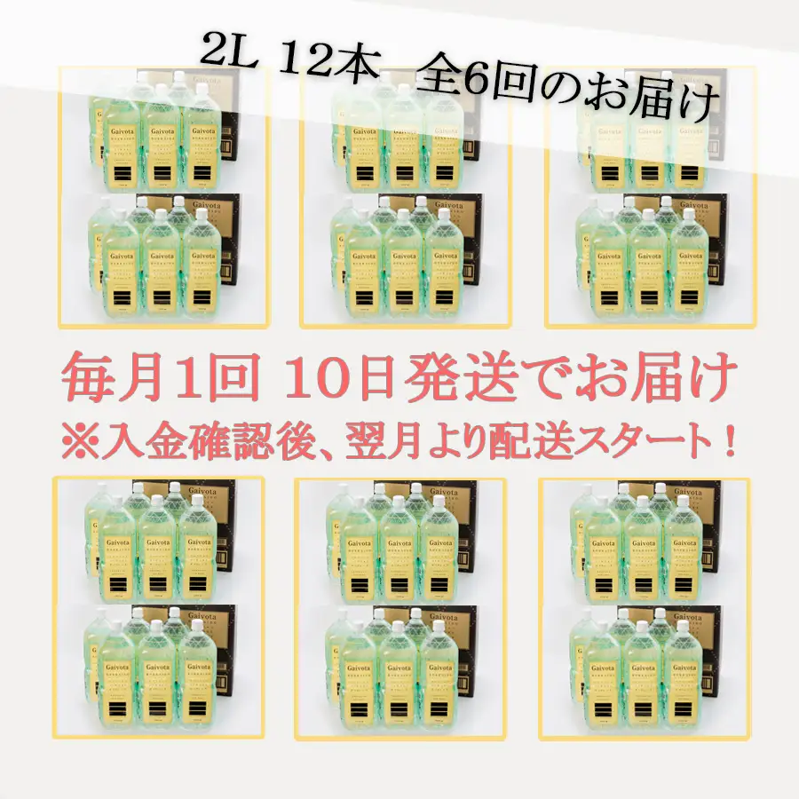 ＜定期便　Gaivota2箱（2L×12本）×６回＞北のハイグレード食品 天然シリカ水 シリカ水 ミネラルウォーター シリカウォーター 軟水  北海道 乙部町 天然水 美容 ケイ素 無添加  シリカ ガイヴォータ 美肌 ミネラル リピーター 6か月 備蓄 災害用 非常用