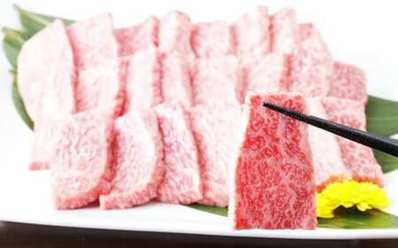 くまもと黒毛和牛 焼き肉用ロース 600g （300g×2） 肉 お肉 牛肉 和牛 ロース 焼肉 国産 熊本県 人吉市