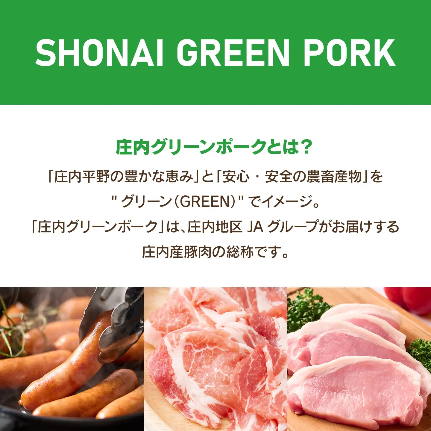 庄内グリーンポークの小間切れ 1.5kg(500g×3パック) | 山形県 鶴岡市 国産 豚肉 ご当地 お取り寄せ グルメ お肉 こま切れ 豚こま 豚コマ 豚小間 ぶた ブタ おいしい 美味しい へルシー A01-304