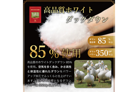 【春夏用】洗える羽毛布団 ダブル 肌掛け ダウン 夏 春 ホワイトダックダウン 85% 0.5kg (無地 ブラウン) [川村羽毛 山梨県 韮崎市 20745029]