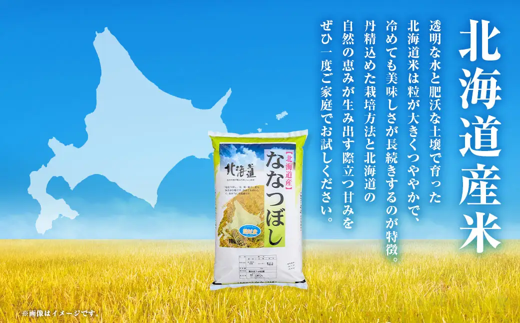 【令和7年度産】 蘭越町産ななつぼし 10kg 白米 北海道産 米 コメ こめ お米 通常発送