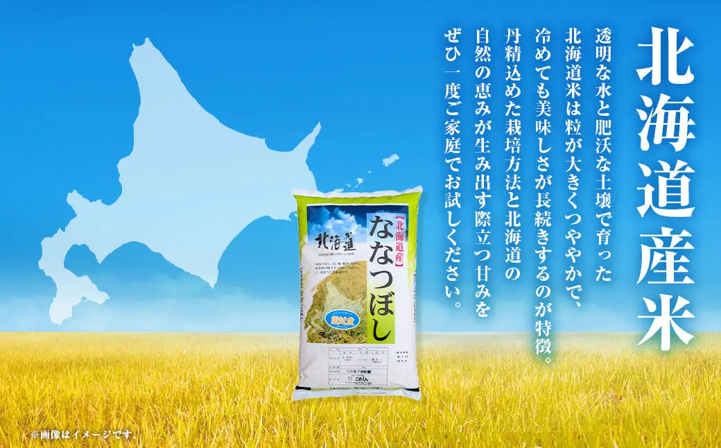 【令和7年度産】 蘭越町産ななつぼし 5kg 白米 北海道産 米 コメ こめ お米 通常発送