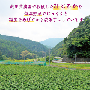 焼き芋 紅はるか やきいも 1kg さつまいも