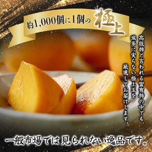 【先行予約】富有柿 2kg～2.5kg 6個入 至高の逸品 約1000個に１個！ 2026年10月末から11月末頃に順次発送予定（お届け日指定不可）/ 和歌山 柿 かき フルーツ 果物 くだもの 刀根 種無し【kgr013】