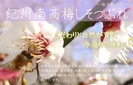 【定期便/2か月ごと/全5回】紀州南高梅しそ漬つぶれ（塩分約15％）700g×2 | 梅干し ご飯のお供