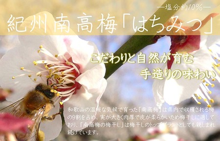紀州南高梅はちみつ塩分約10％（850g） | 梅干し 甘口