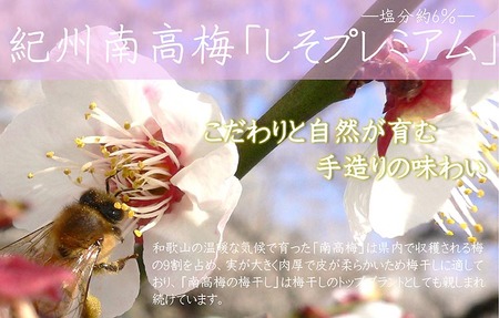 紀州南高梅しそプレミアム塩分約6％（500g） | 梅干し 減塩