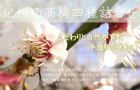 【定期便/2か月ごと/全5回】厳選紀州南高梅四種詰合せ | 梅干し 食べ比べ