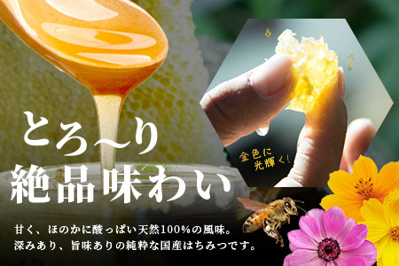 【無添加 非加熱】標高800m たっちゃんのこだわり蜂蜜【170g×3本】(送料無料 宮崎県 椎葉村 秘境 蜂蜜 はちみつ ハチミツ みつばち ミツバチ 伝統的 養蜂 国産 天然 百花蜜 巣箱 数量限定 季節 希少 防災 備蓄 170g 340g 510g) TN-06