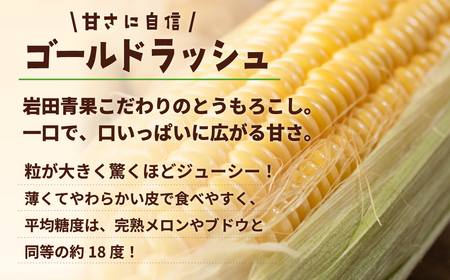 とうもろこし ゴールドラッシュ 3.5kg 茨城県産 トウモロコシ 深夜採り 朝出荷
