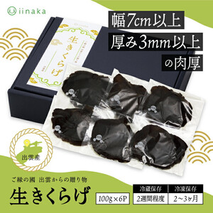 出雲市産生きくらげ