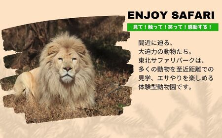 東北サファリパーク入園チケット大人2名（ 入園チケット＋草食動物のエサ）【株式会社東北サファリパーク】