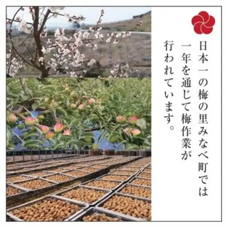 【先行受付/年内配送】梅の里からの正月飾り「門梅」【R】【1588121】