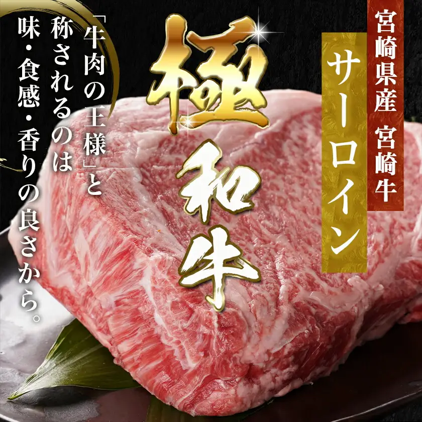 宮崎牛サーロインブロック(1kg)〔38-N401〕_(都城市) 宮崎県産 宮崎牛 サーロイン ステーキ 焼肉 BBQ 4等級以上 サシ  ブロック 1㎏