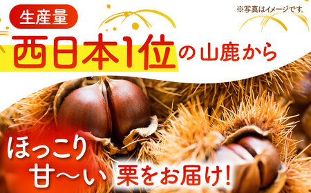 先行予約 和栗L~3L約3kg(約1kg×3袋) 熊本山鹿和栗ZEP063
