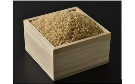 A116 【定期便】阿武川源流米コシヒカリ玄米60㎏(10kg×6回)