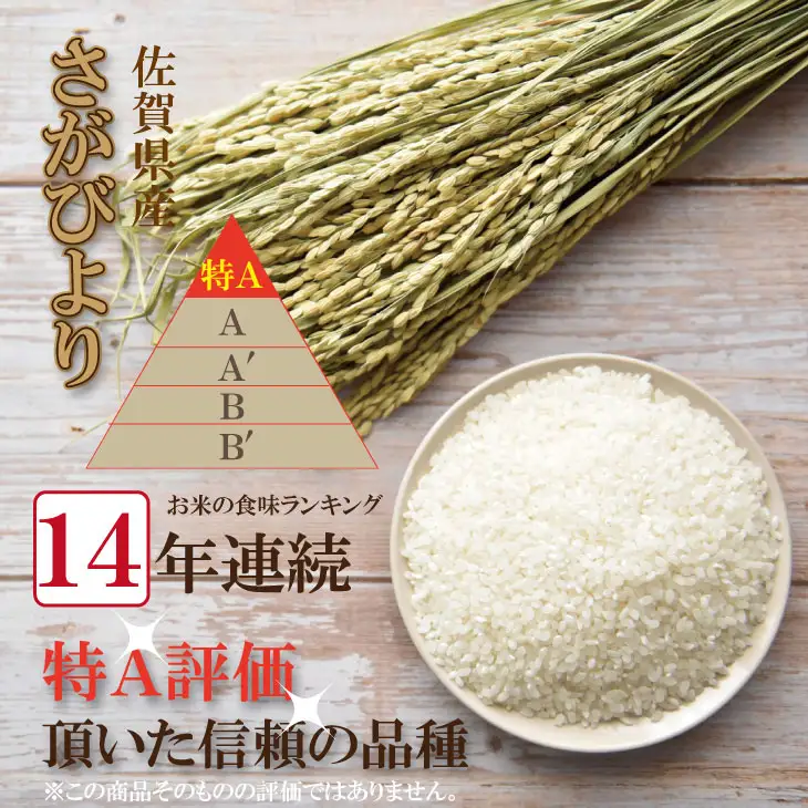 【6月配送】佐賀ブランド米「さがびより10kg（5kg×2）潮風F 白米 C280-001 