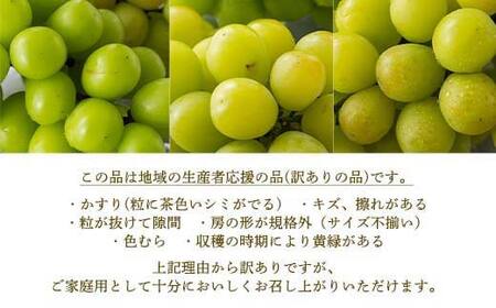 ≪2026年先行予約≫【仲野観光果樹園】ご家庭用 山形県産 シャインマスカット ピオーネ 2種詰合せ 1.6kg(2～4房) 種無し ぶどう 2026年8月下旬から順次発送 F2Y-6127