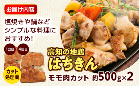 【6回定期便】高知の肉定期便〈はちきん地鶏・土佐あかうし・ハンバーグ〉大容量セット【合同会社土佐あぐりーど】[ATBO036]