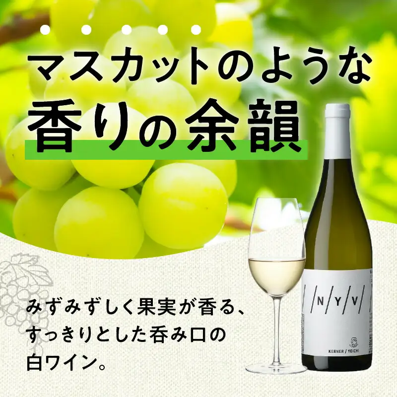 【数量限定＆北海道限定】N・Y・V（エヌ・ワイ・ブイ）　余市ケルナー2023　2本セット_Y090-0015