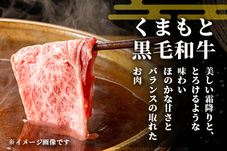 2月終了《2・3月発送 限定増量》A4・A5 くまもと黒毛和牛 ロース セット 計 1kg ( すき焼き / 焼肉 各500g ) 本場 熊本県 ブランド 牛 黒毛 和牛 厳選 大容量 1キロ 肉 上質 113-0533